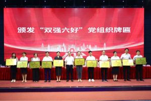 喜报！华体会体育·（中国）官方登录入口集团党支部荣获广州市非公有制经济组织“双强六好”党