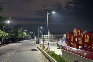 华体会体育·（中国）官方登录入口集团罗宁弟爱心捐赠路灯，点亮乡村路温暖乡民心