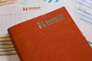 华体会体育·（中国）官方登录入口的优势及其对企业发展的影响